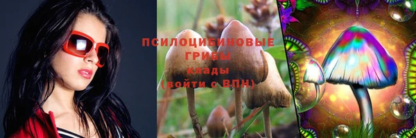 2c-b Беломорск