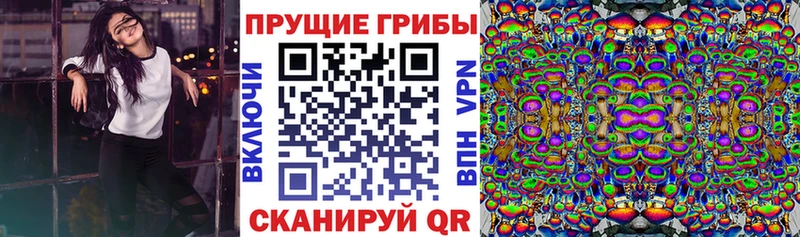 сколько стоит  Дюртюли  hydra зеркало  Псилоцибиновые грибы Cubensis 